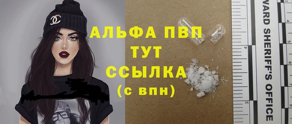 дживик Белокуриха