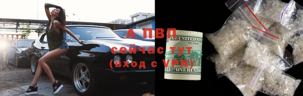 гашик Богородицк