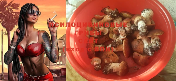 Альфа ПВП Богданович