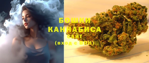 дживик Белокуриха