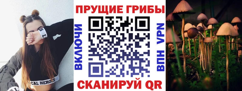 сколько стоит  shop клад  Псилоцибиновые грибы MAGIC MUSHROOMS  Мамадыш 